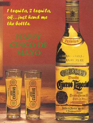 Cinco de Mayo Greeting