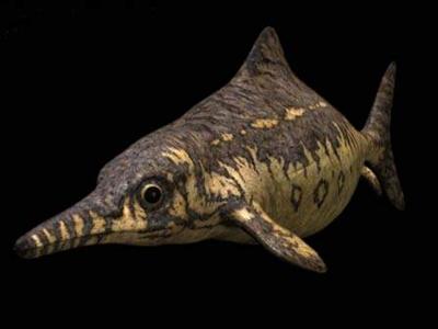 Ophthalmosaurus