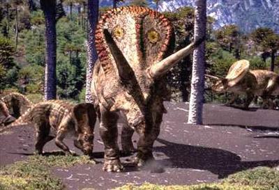 Torosaurus
