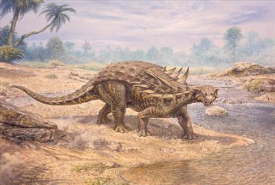 Polacanthus