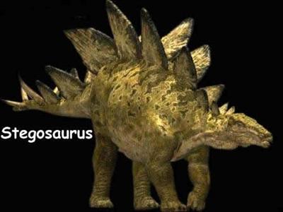 Stegosaurus