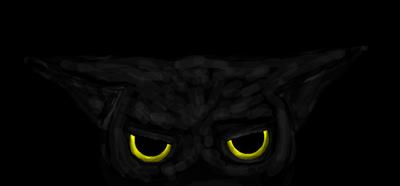 Chat noir