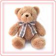 cute bear