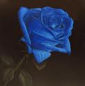 blue rose