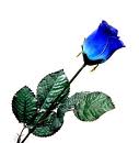 the blue