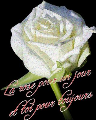 amitié 