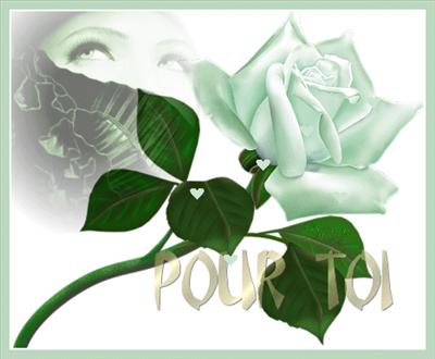 amitié 