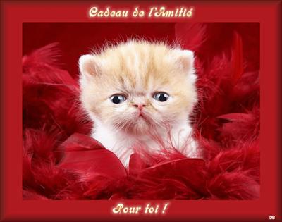 bisous 