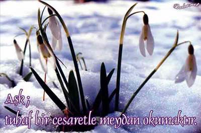 Snow flower