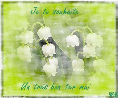 muguet