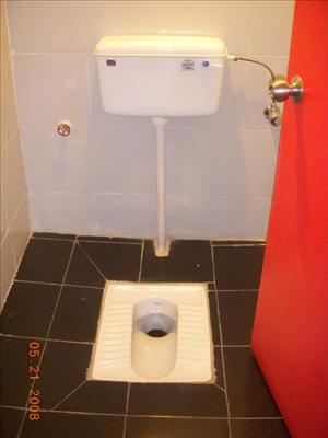 toilet seat