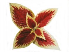 Leaf