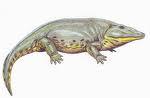 eryops