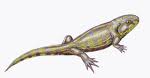 eucrita