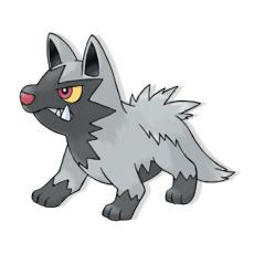 Poochyena
