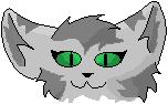 Pretty Kitty