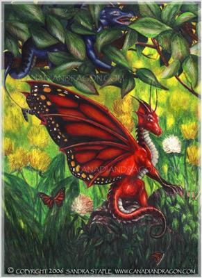 butterfly or dragon