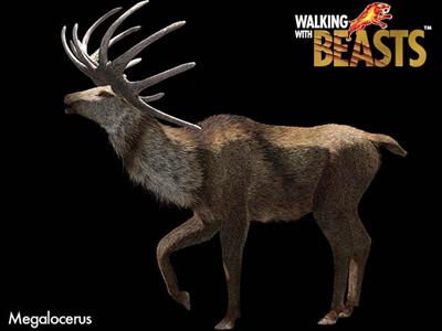 Megaloceros