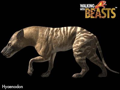 Hyaenodon