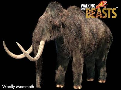 Mammuthus