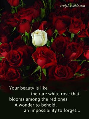 Your Beauty Is Like The Rare White Rose