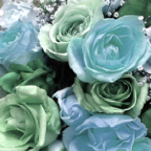 I'm Blue Without You