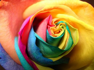 Multi-colored Love