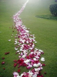 Path Of Love