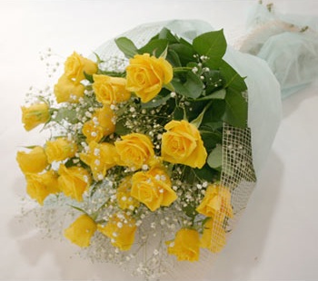 Rose Of The Sun
