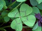Luck