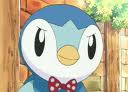cute piplup