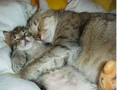 Snuggle