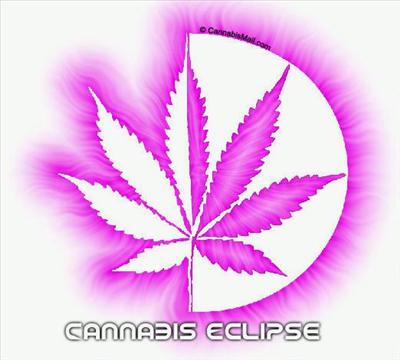 cannabis eclipse