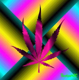 crazy leaf