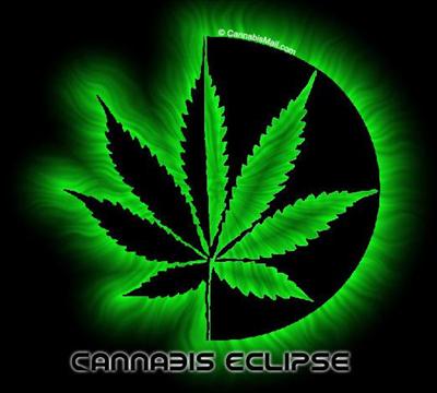 reverse cannabis eclipse