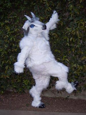 A Drunk Goat
