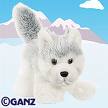 love webkinz husky