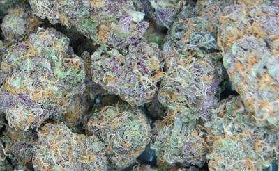 NYC Diesel