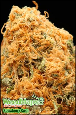 Strawberry Cough