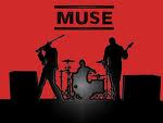 muse