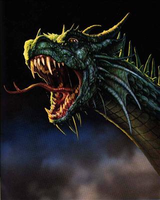Aggresive Dragon