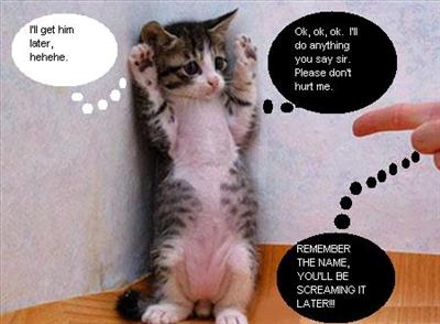 \"Innocent\" kitty