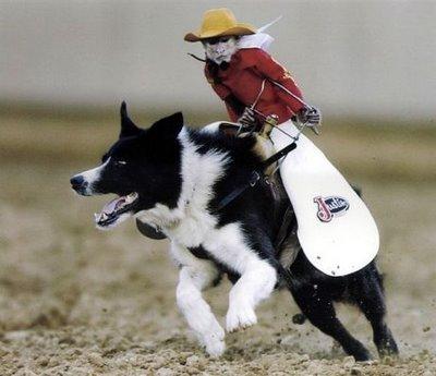 RODEO doggy style