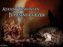 Bozkurt