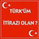 Bozkurt
