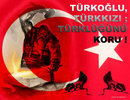 Bozkurt
