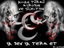 bozkurt