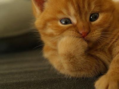 I'm thinking about you!
