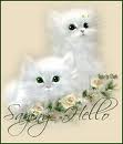 Gentle Hug