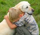 Gentle Hug